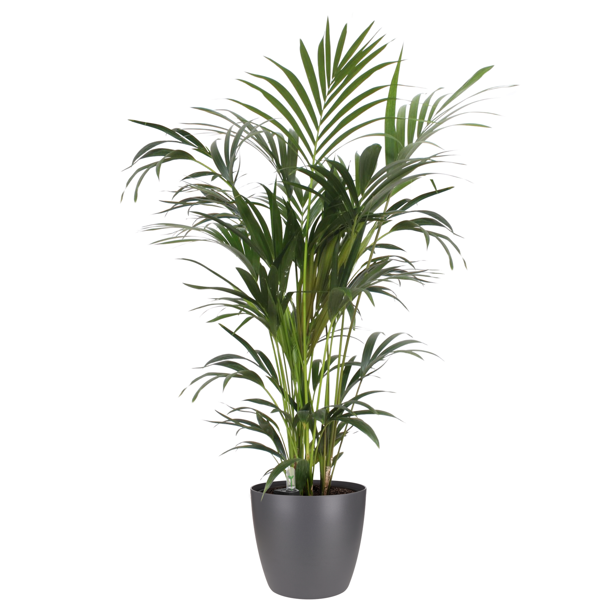 brussels rund 18cm anthrazit - elho®