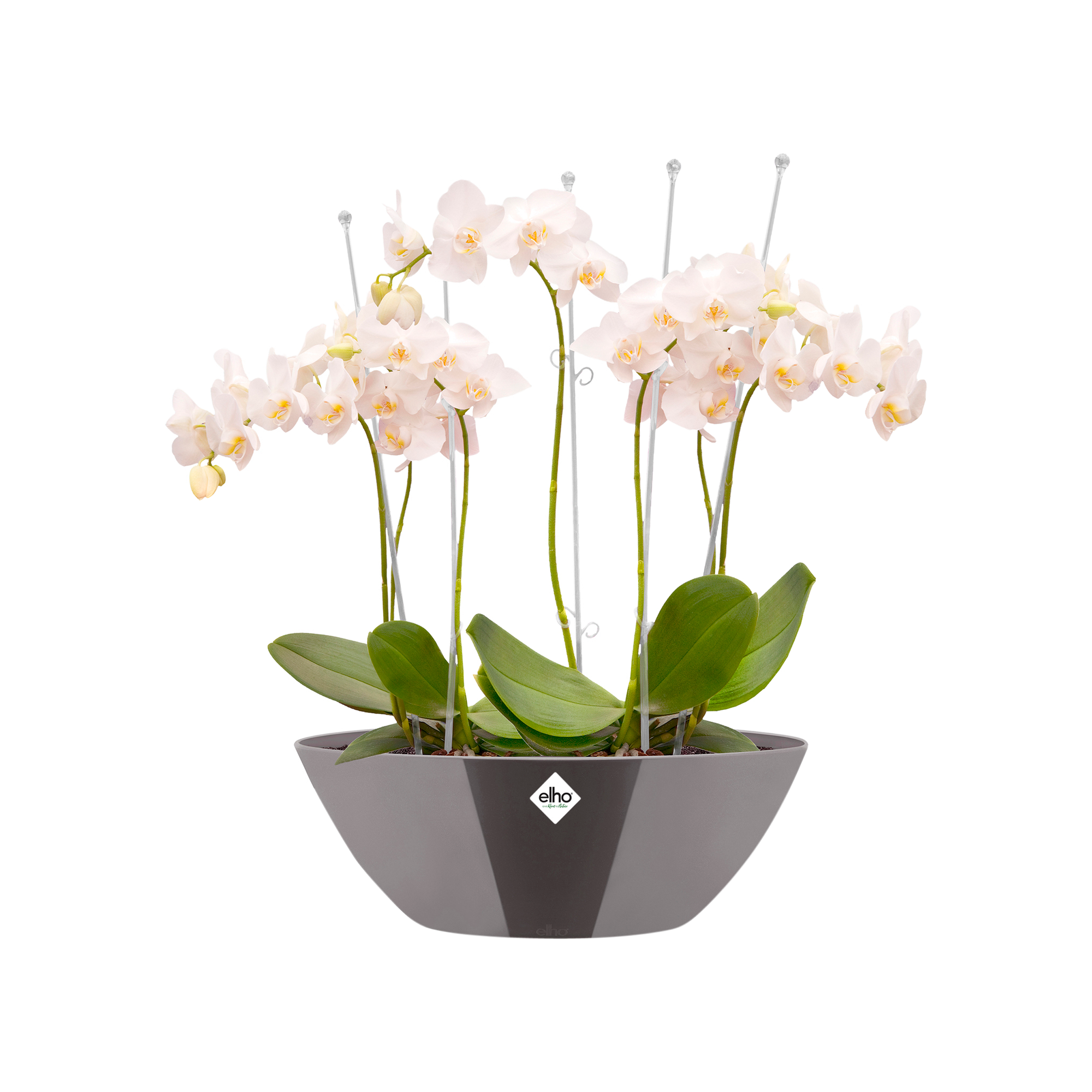 brussels diamond oval 36cm oyster pearl - elho® - Give room to nature | Blumentopfuntersetzer