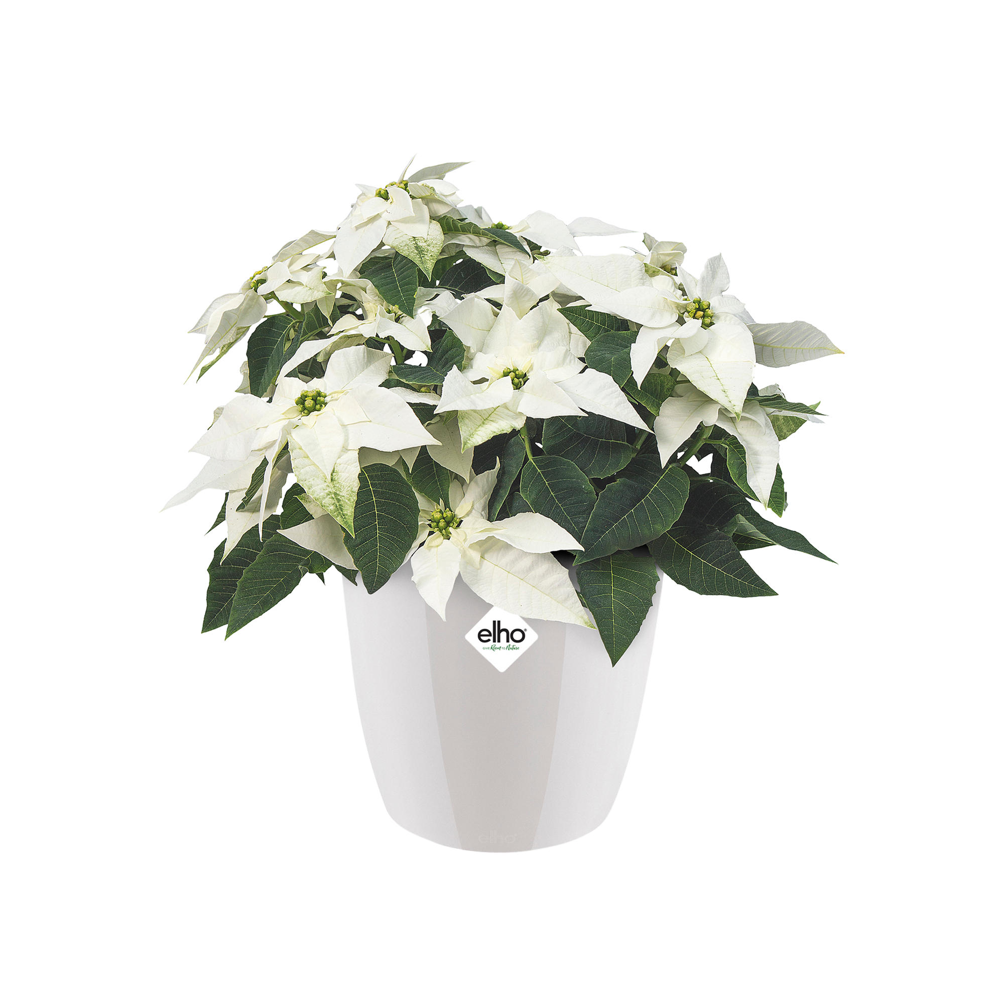 Pots de fleurs Blanc - elho® - Give room to nature