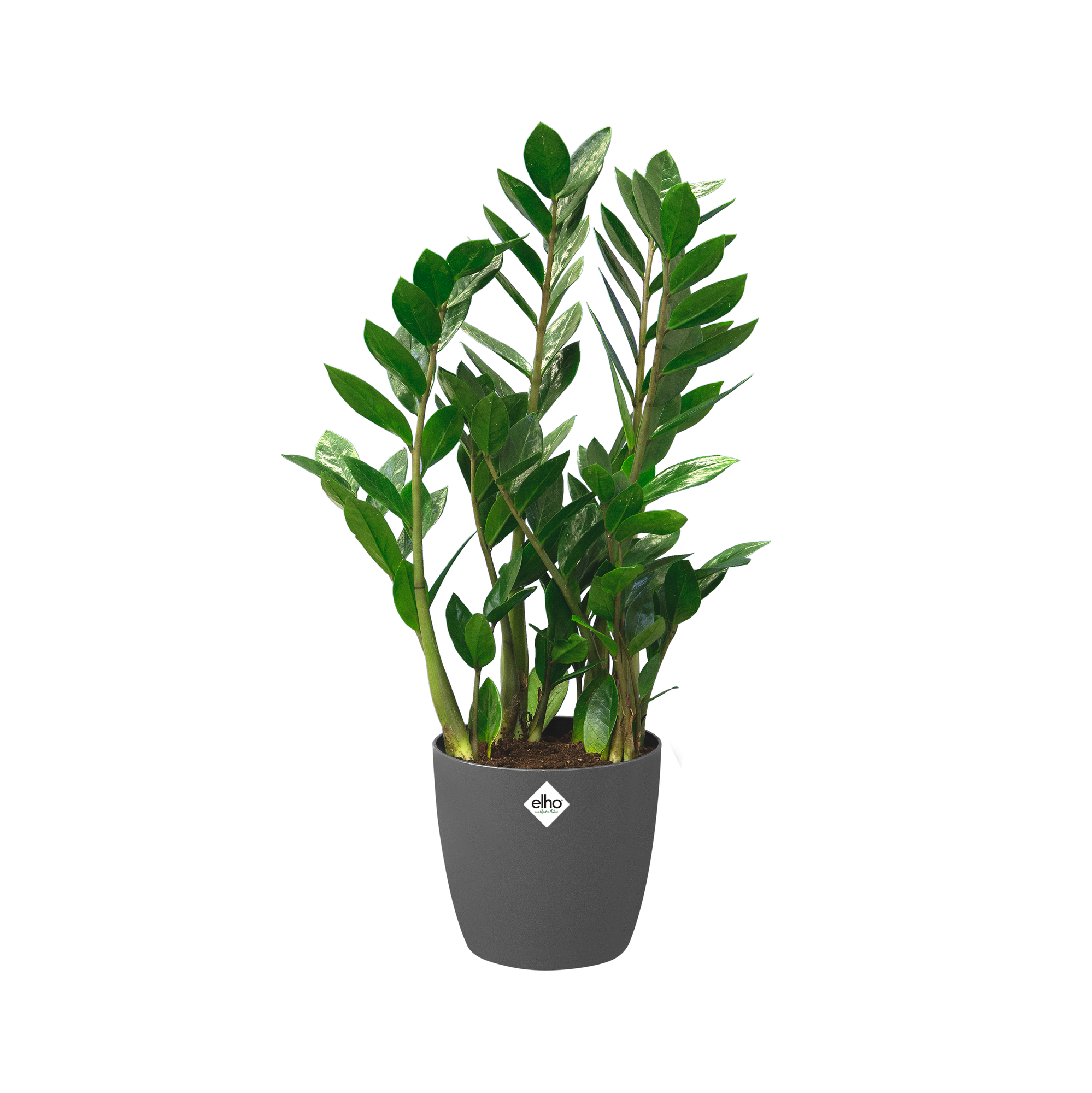 brussels rund to nature - room - 25cm elho® Give anthrazit