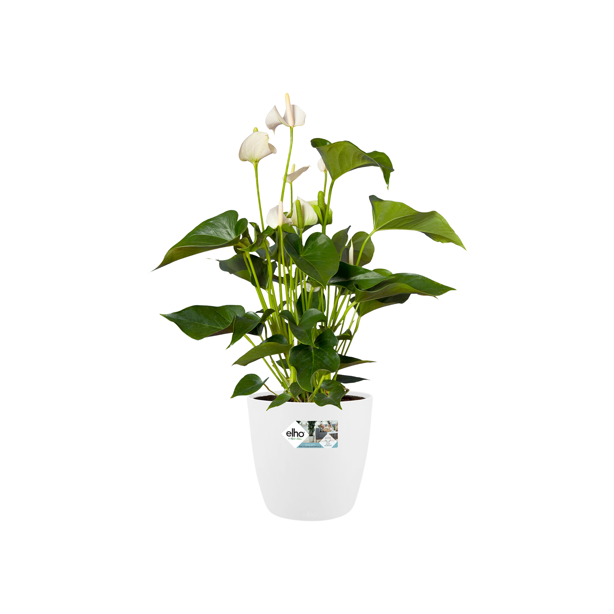 brussels rund 30cm nature - room Give weiss to - elho®