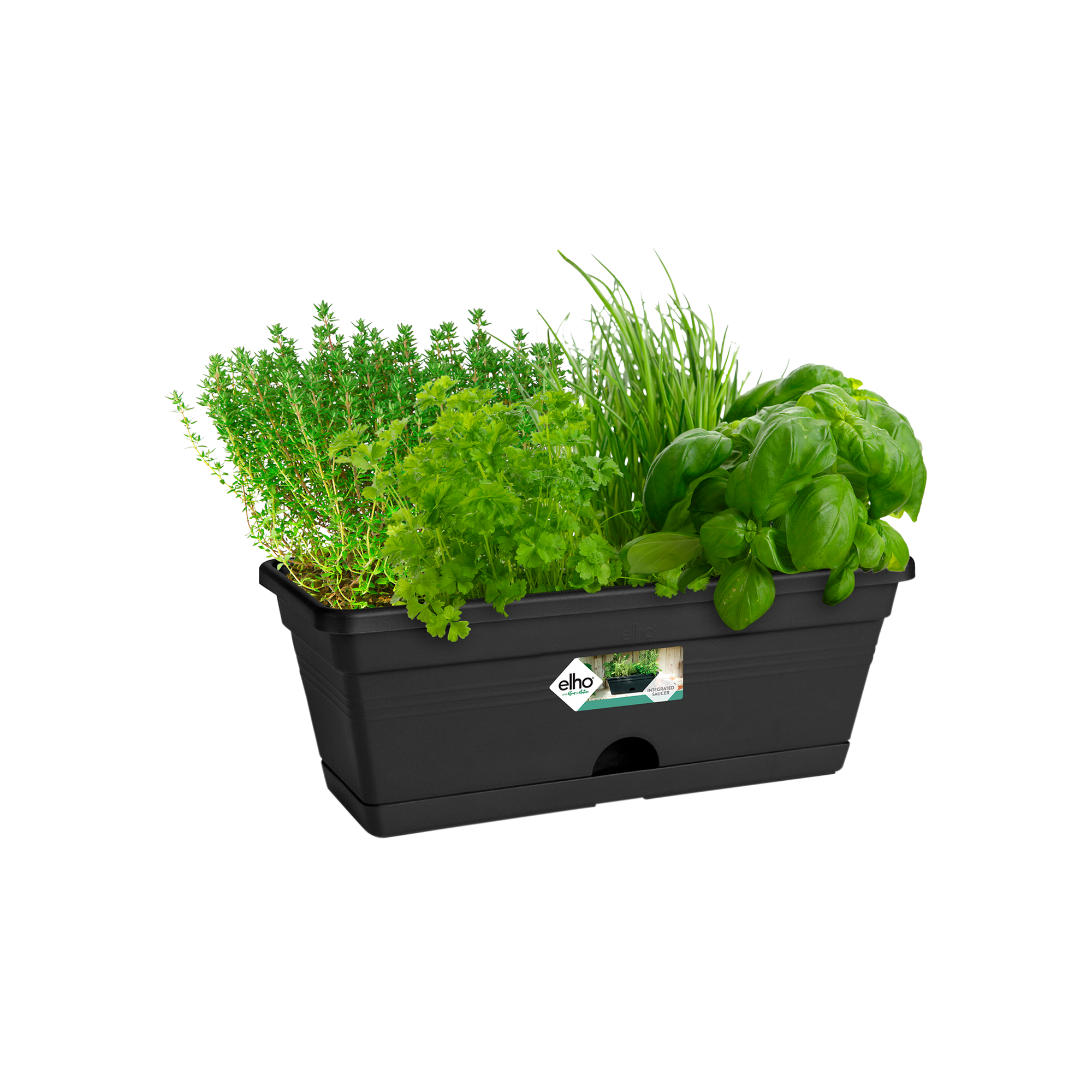 green basics balkonkasten mini 30cm living schwarz - elho - Give room to  nature