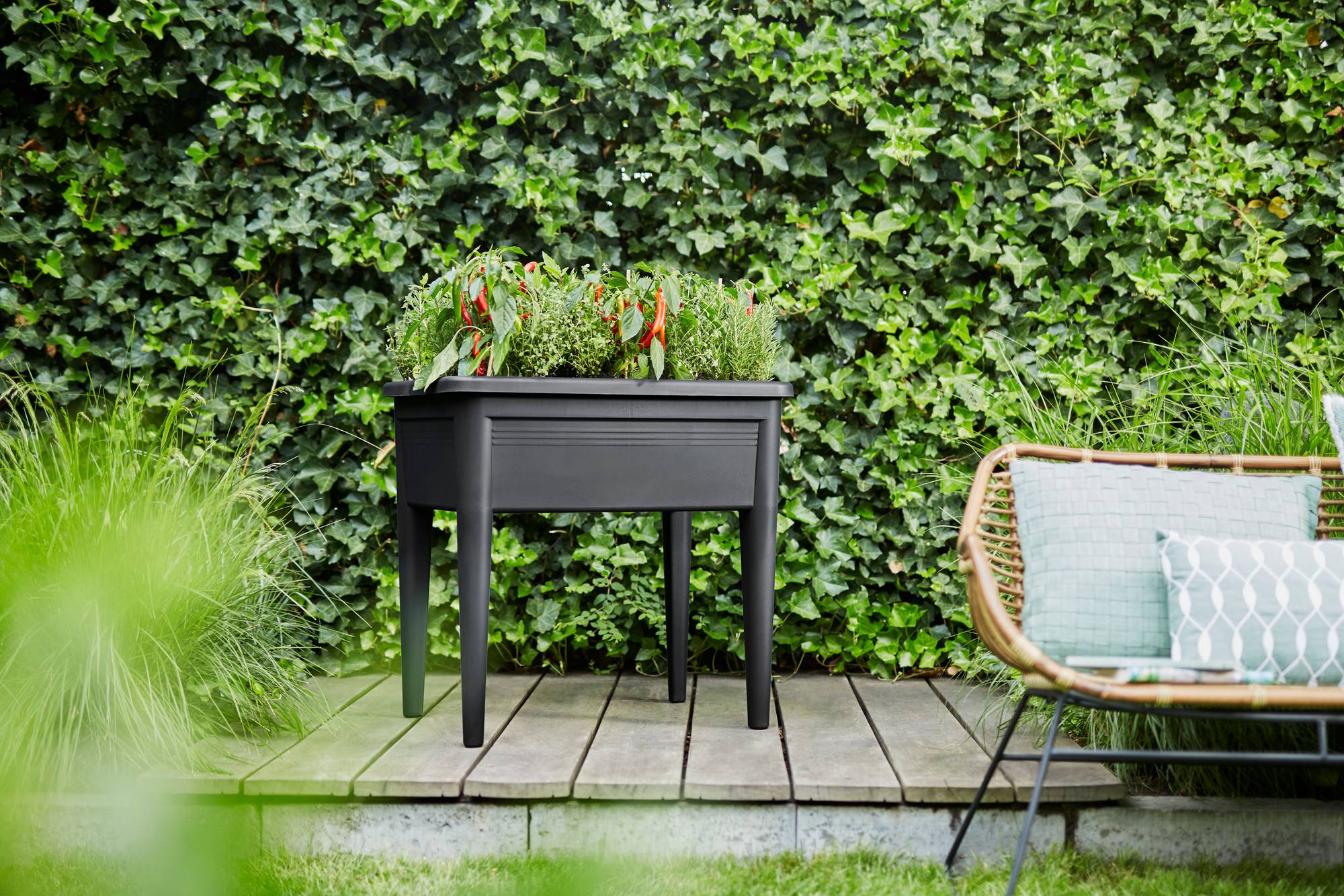 ELHO Kweektafel Green Basics XXL zonder kap 75 x 36,5 x 65 cm kunststof, zwart kopen