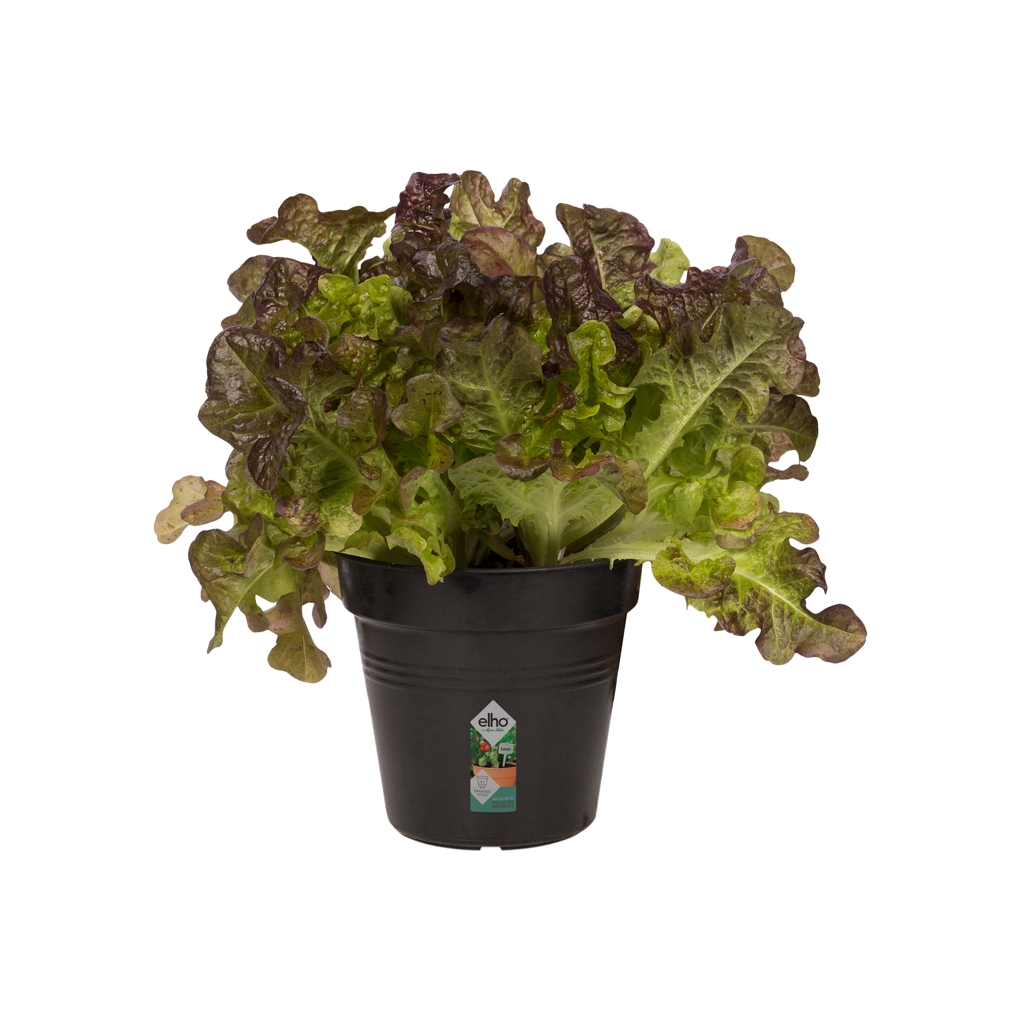 Pflanzen- Blumentopf Schwarz 27x25 cm Elho Green Basics Growpot Anzuchttopf 