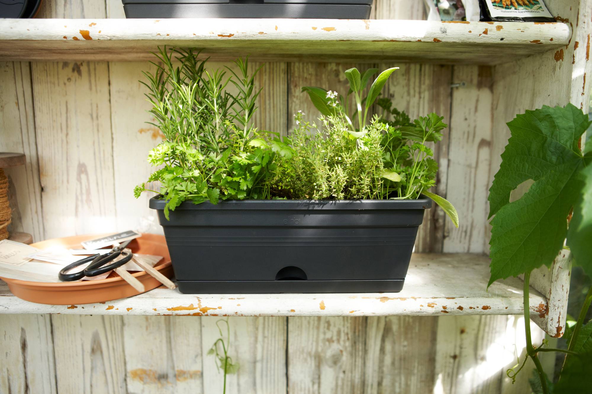 basics balkonkasten mini living nature to room elho® Give - green - 30cm schwarz