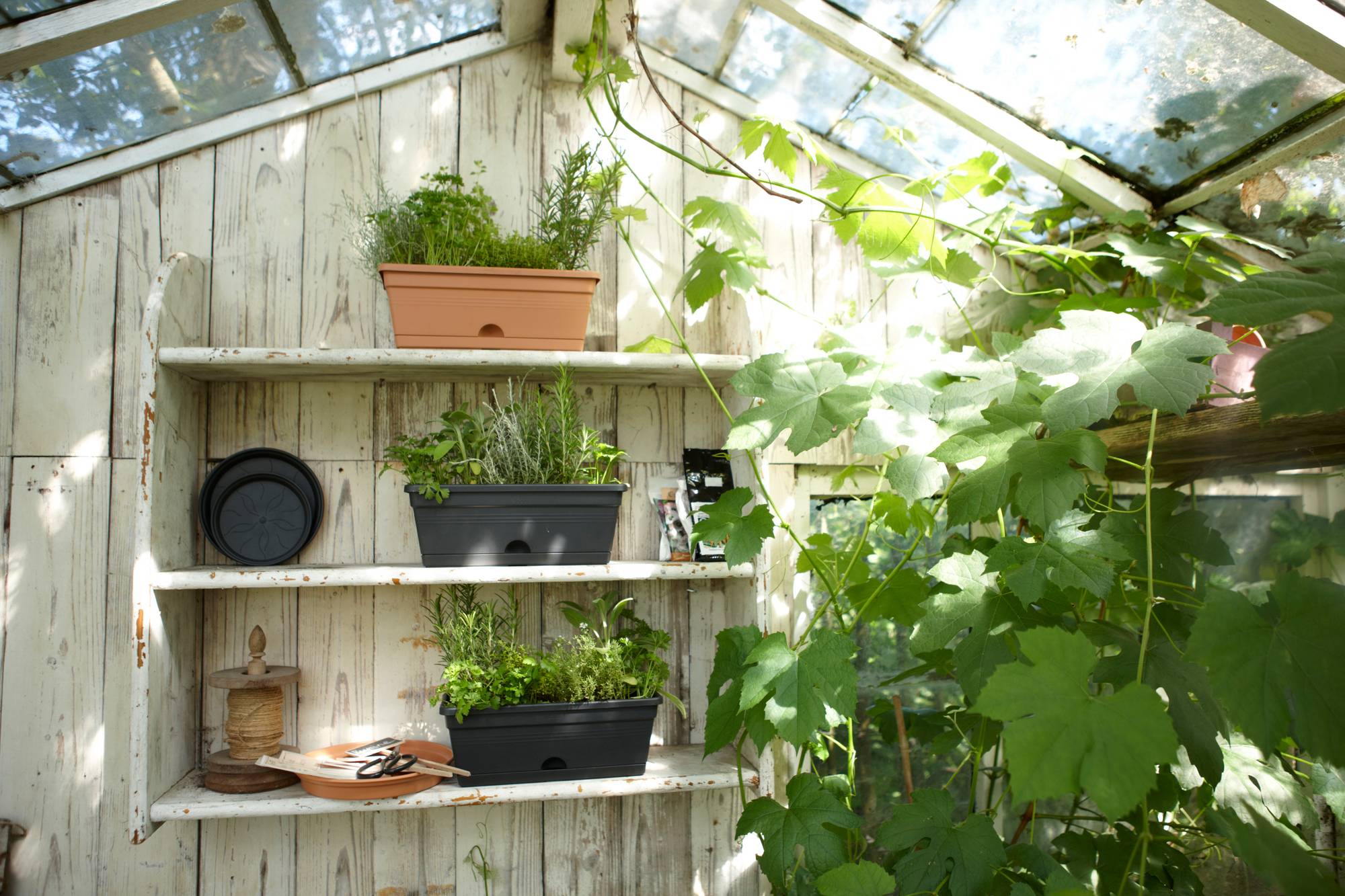 Give elho® to green room - - nature balkonkasten schwarz mini 30cm basics living