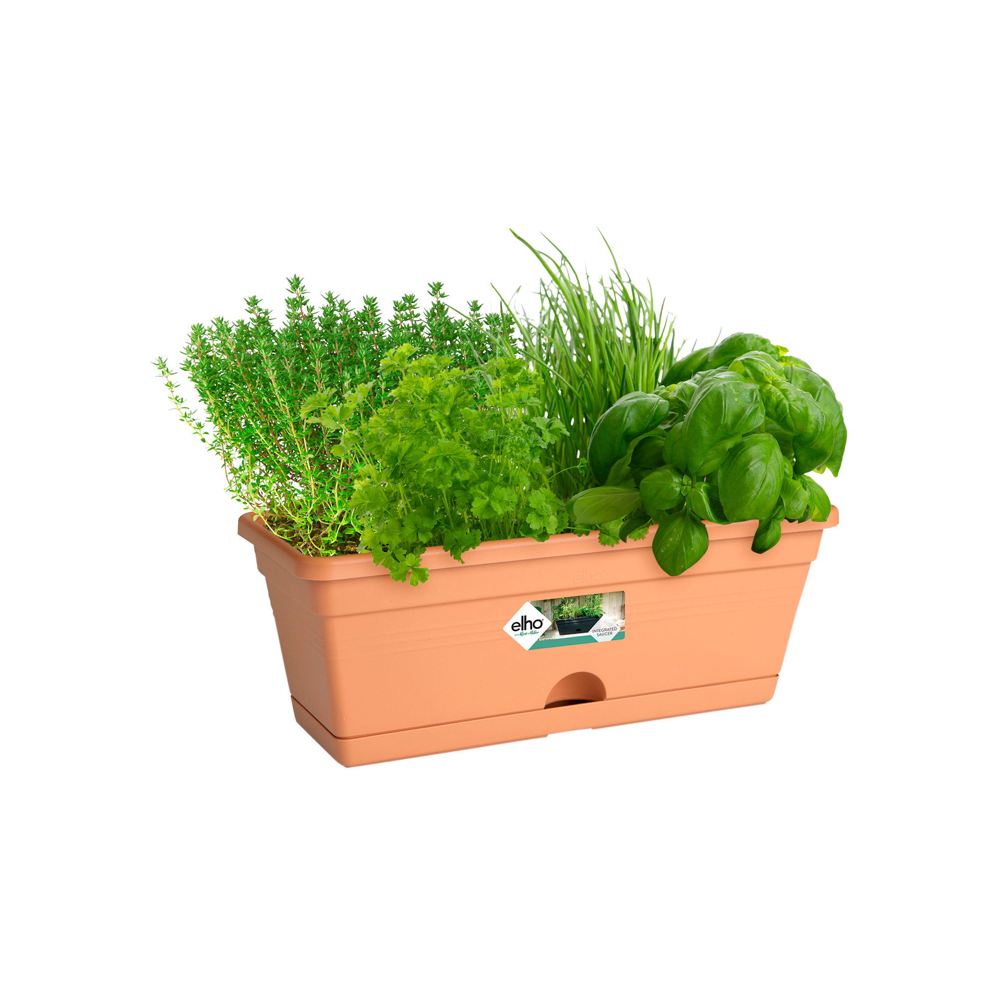 green basics to terra - mini 30cm nature elho® Give mild - balkonkasten room