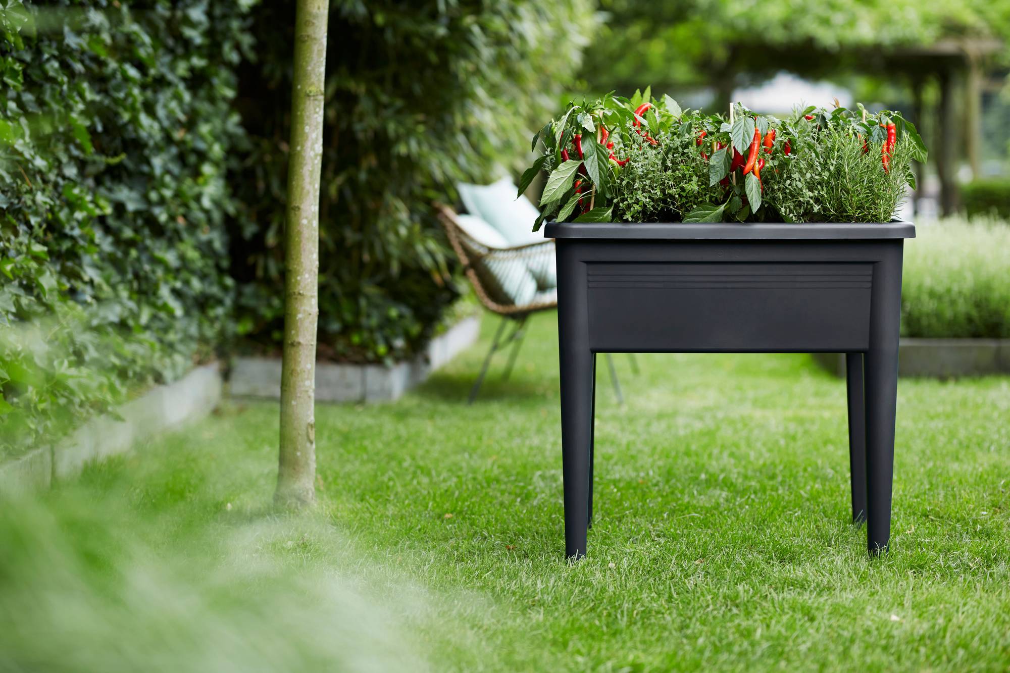Outdoor Elho Green Basics Grow Table Xxl Planter Living Black 