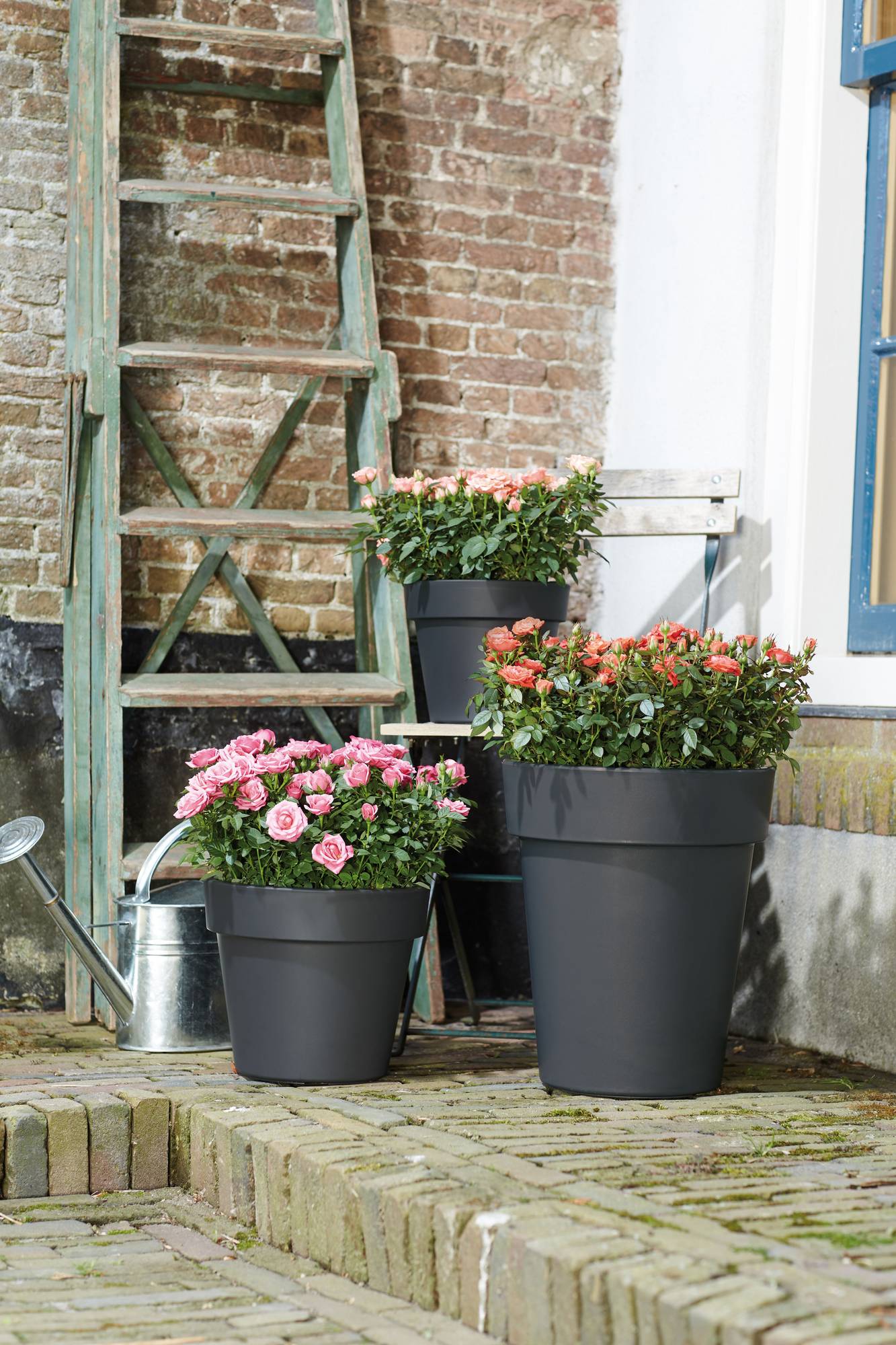 green basics top planter 47cm living schwarz - elho® - Give room to nature