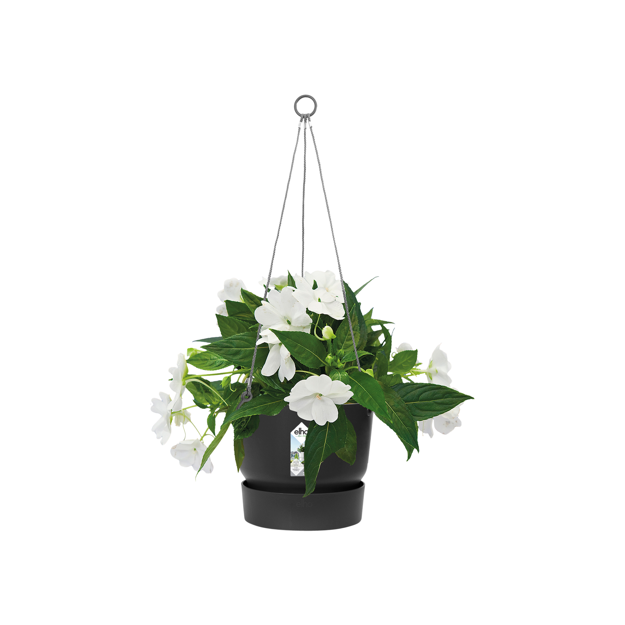 Vaso Di Piante 100 X 2 L Nero 14X14X14Cm Vaso Per Piante Contenitore