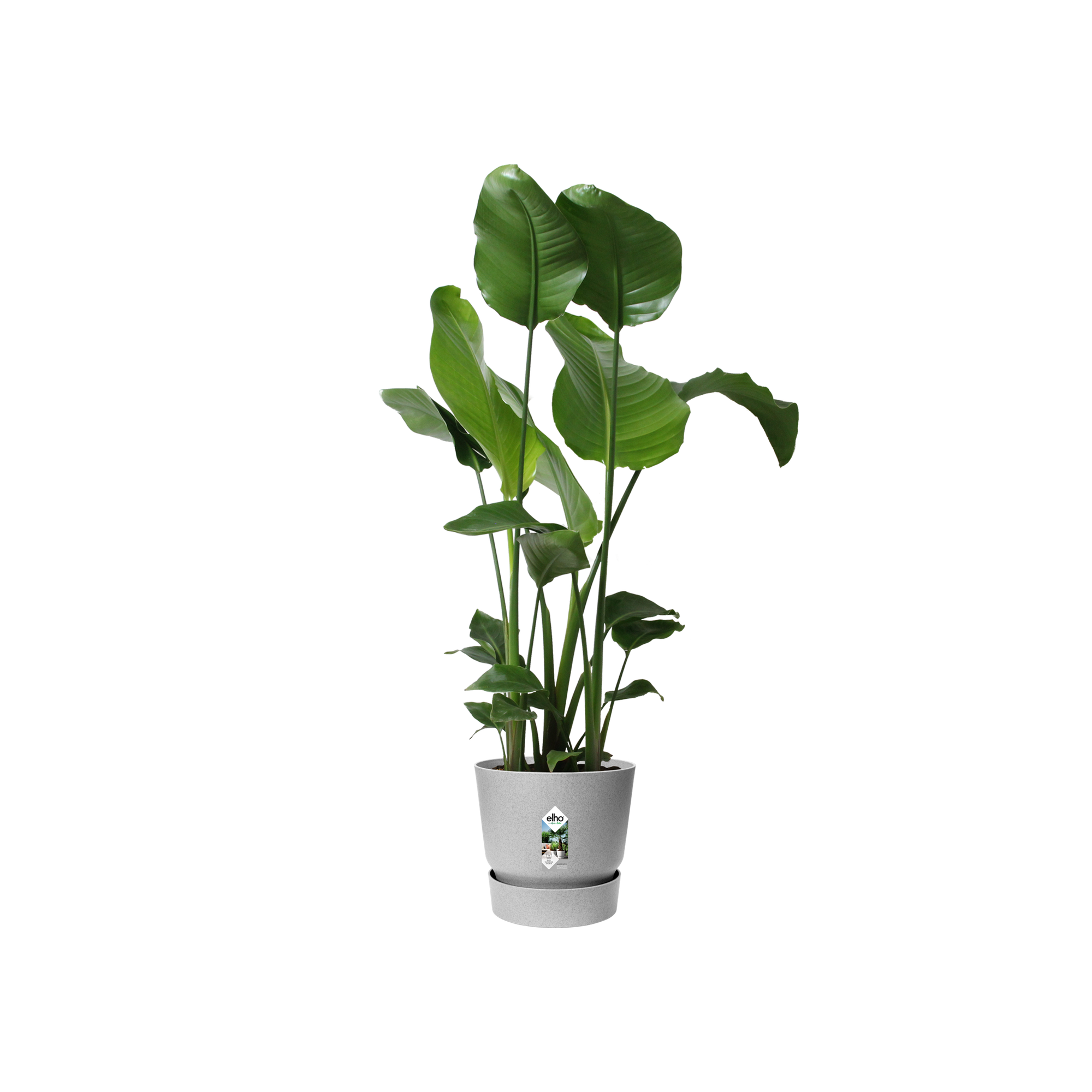 ELHO - Vaso Per Fiori Rotondo Greenville 40 - Esterno - 39 X H 36,8