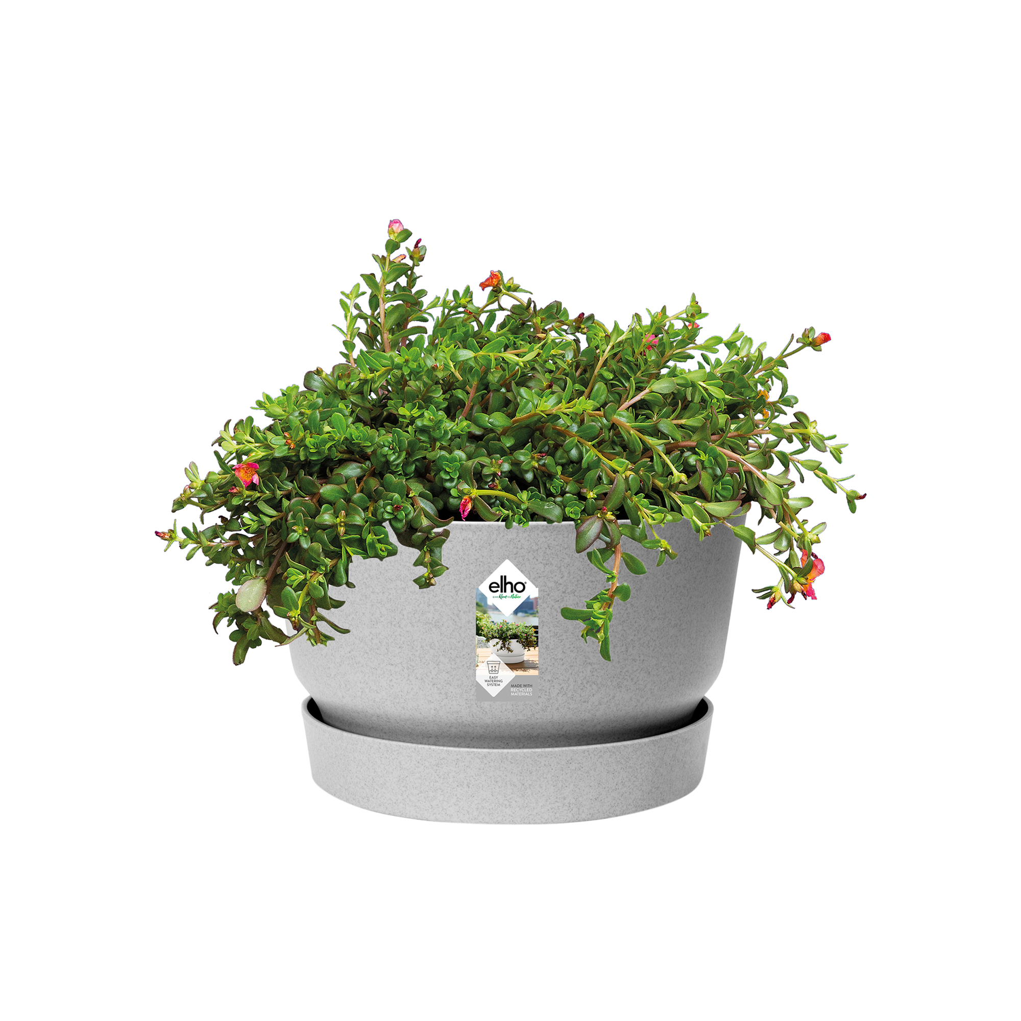 greenville schale 33cm living beton - elho®