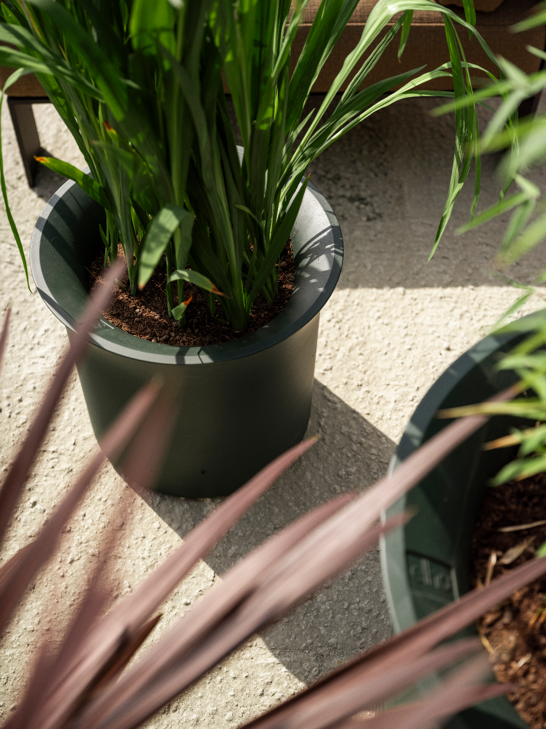 june tulip 47cm emerald grün - elho® - Give room to nature