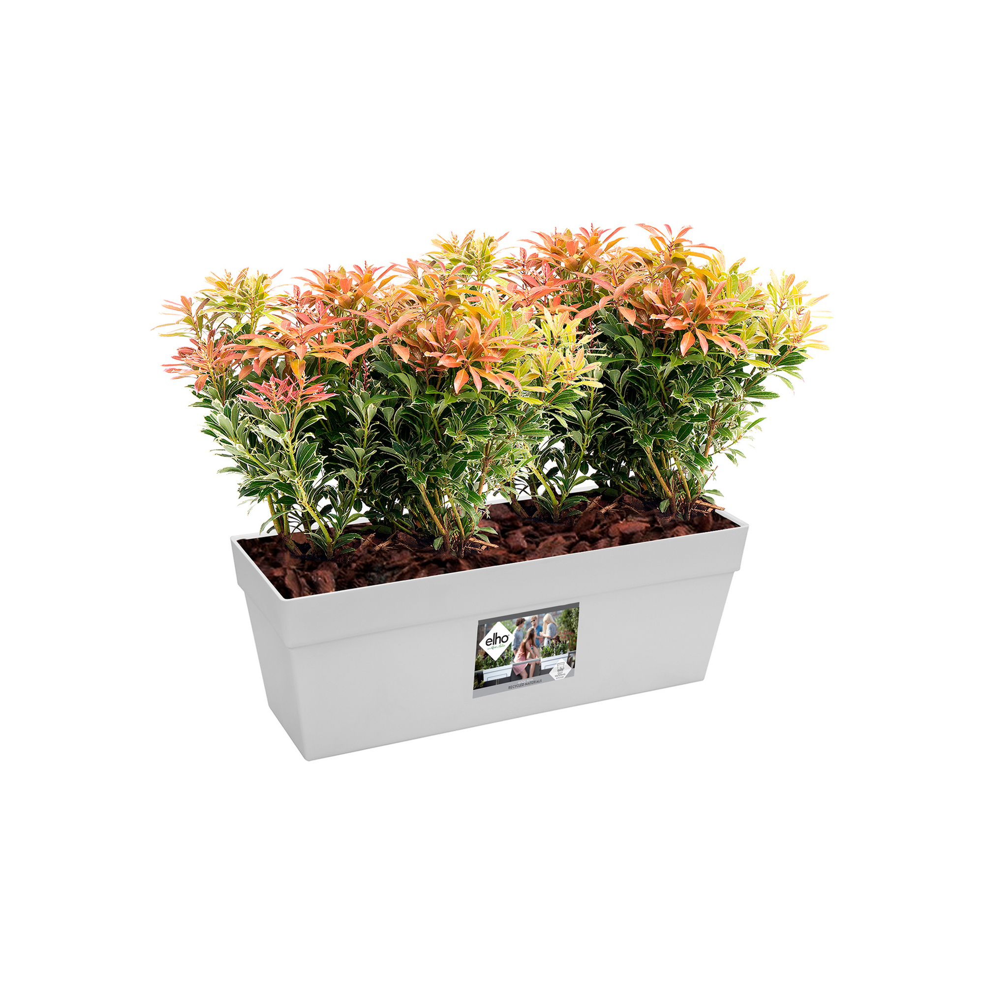 mr gardener wpc blumenkasten mit rankgitter Outsunny Raised Garden Bed with Trellis: For Climbing Plants, Adds Elegance to Outdoor Spaces, Gray