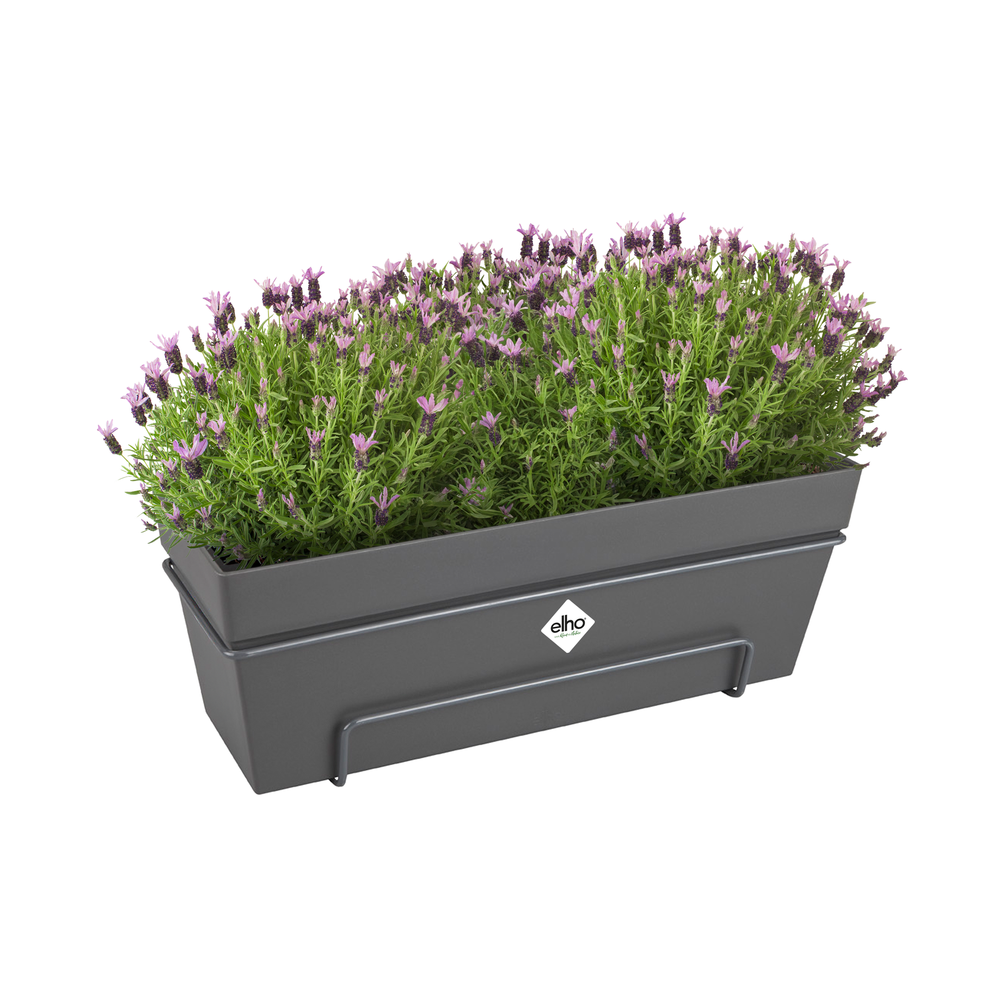 loft urban balkonkasten allin1 50cm anthrazit - elho - Give room to nature