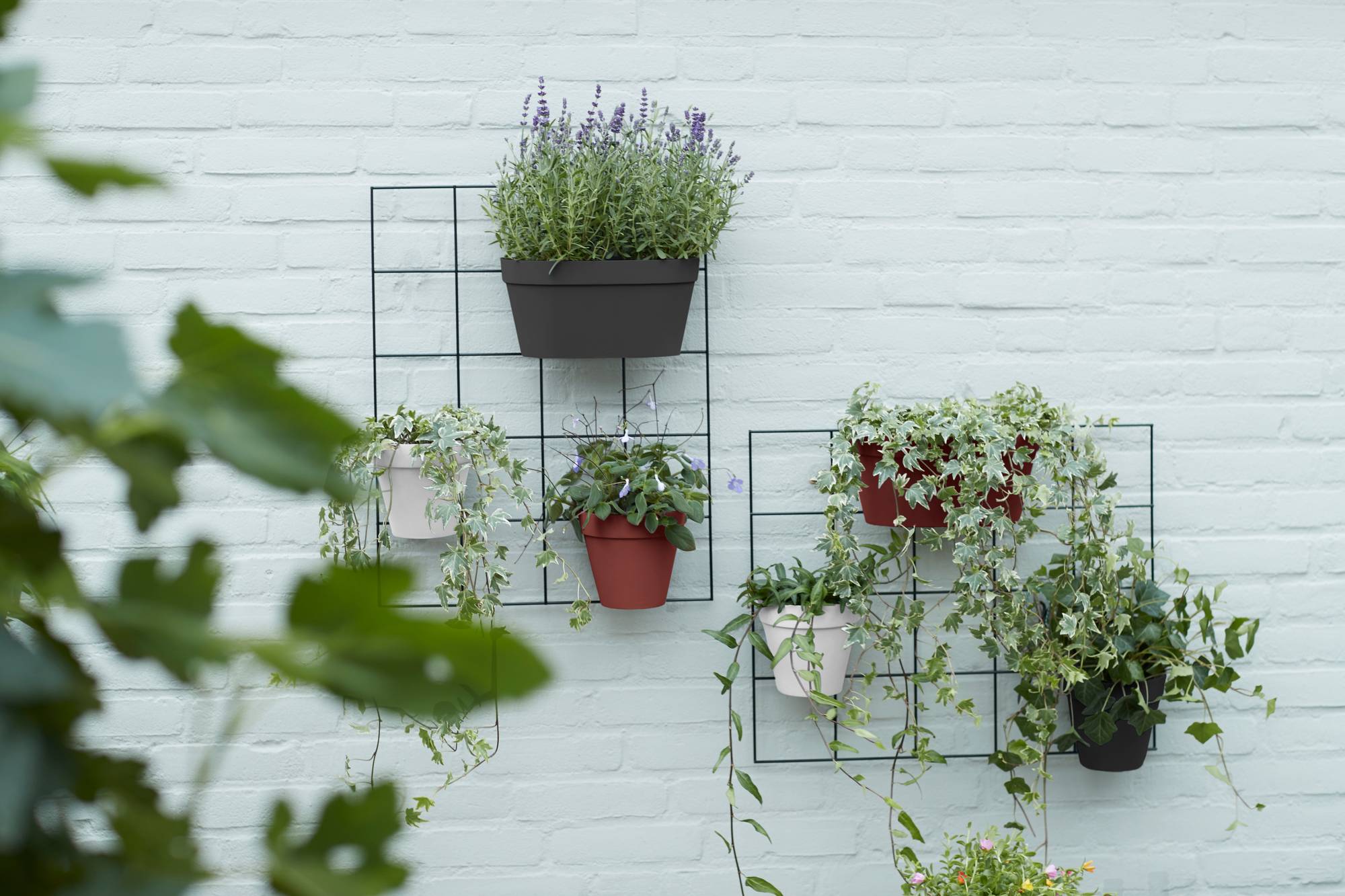 loft urban green wall single 15cm weiss - elho - Give room to nature