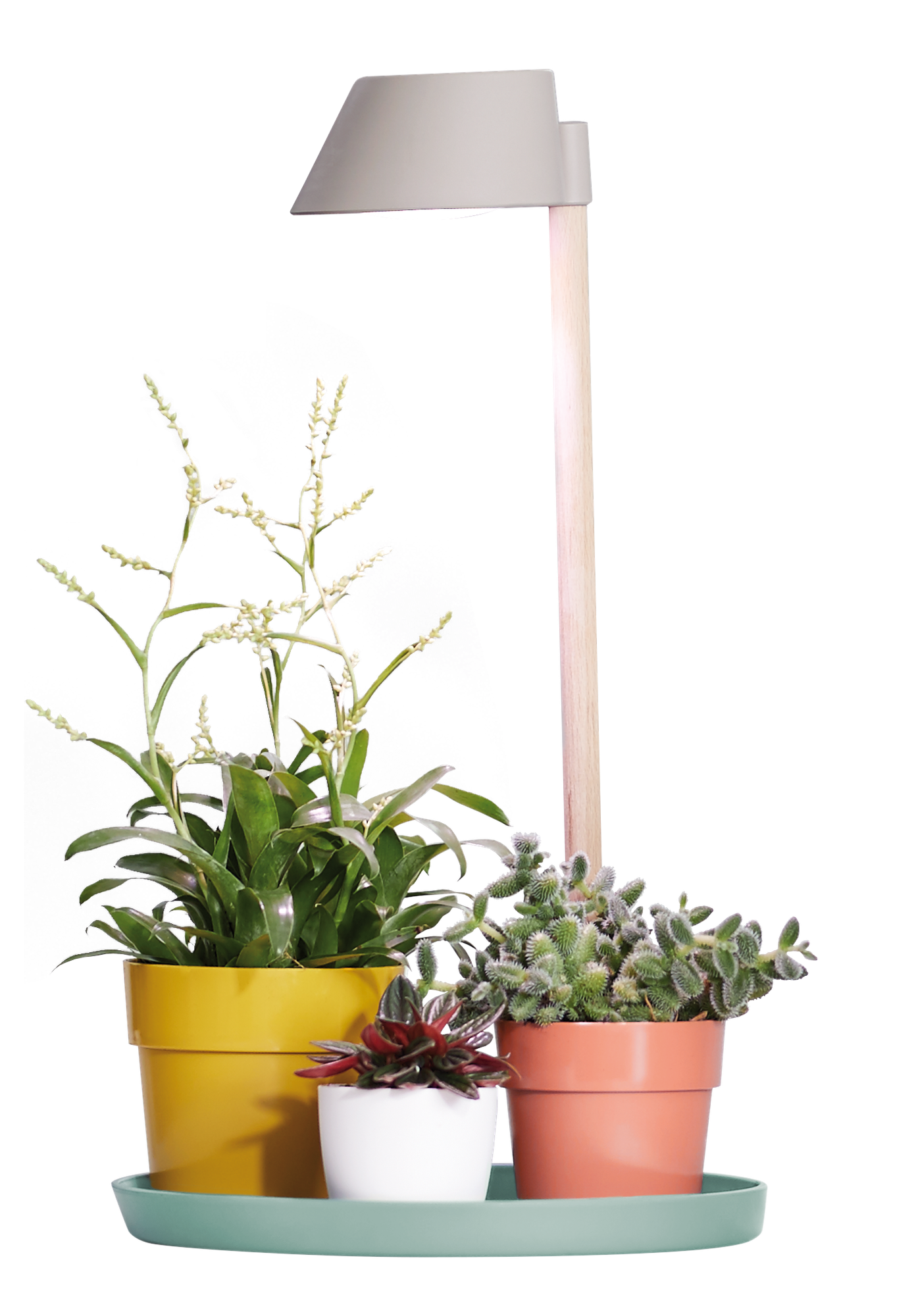 plant light care 11cm glacier grey - elho - Give room to nature