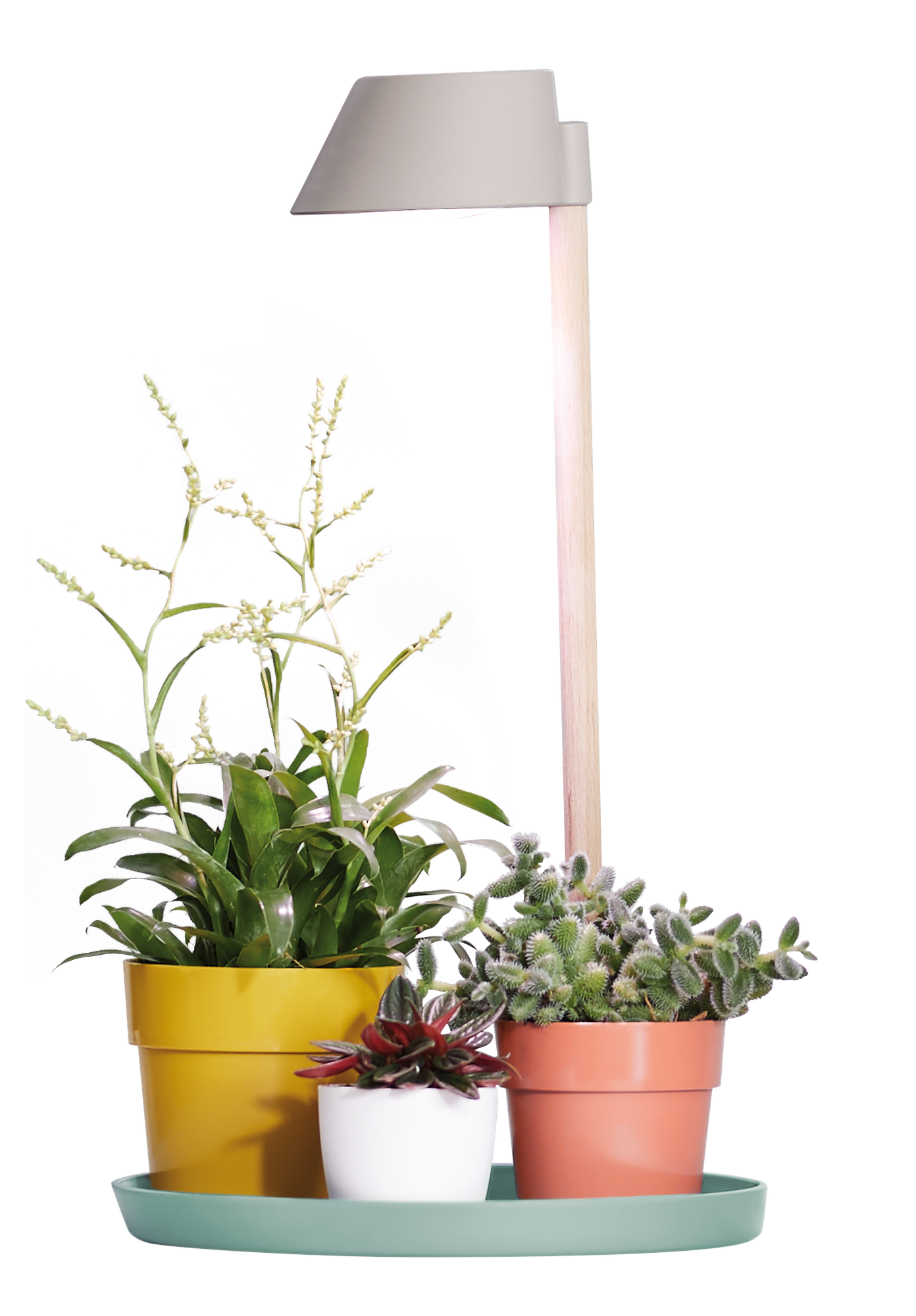 Decoratie Taille wastafel plant light care 11cm gletsjer grijs - elho® - Give room to nature