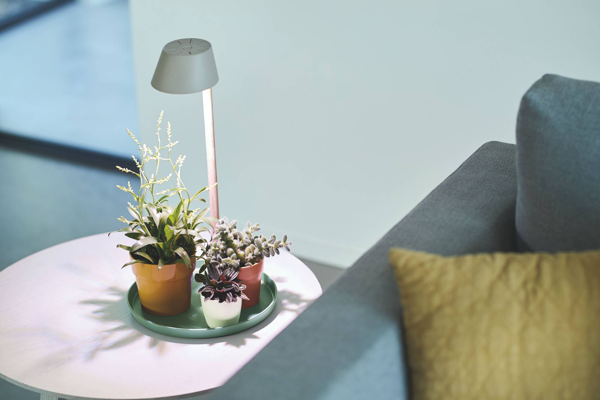 Decoratie Taille wastafel plant light care 11cm gletsjer grijs - elho® - Give room to nature