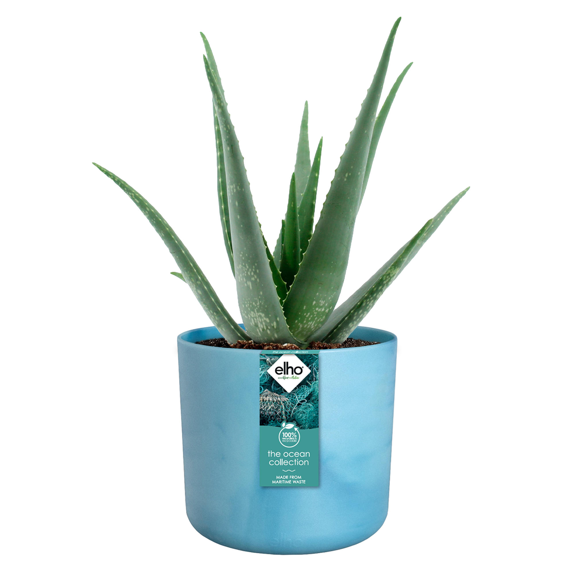 Elho Brussels Rond 22 - Pot De Fleurs Pour Intérieur - Plastique 100% Recyclé - 22.3 X H 20.6 Cm - Blanc/Blanc