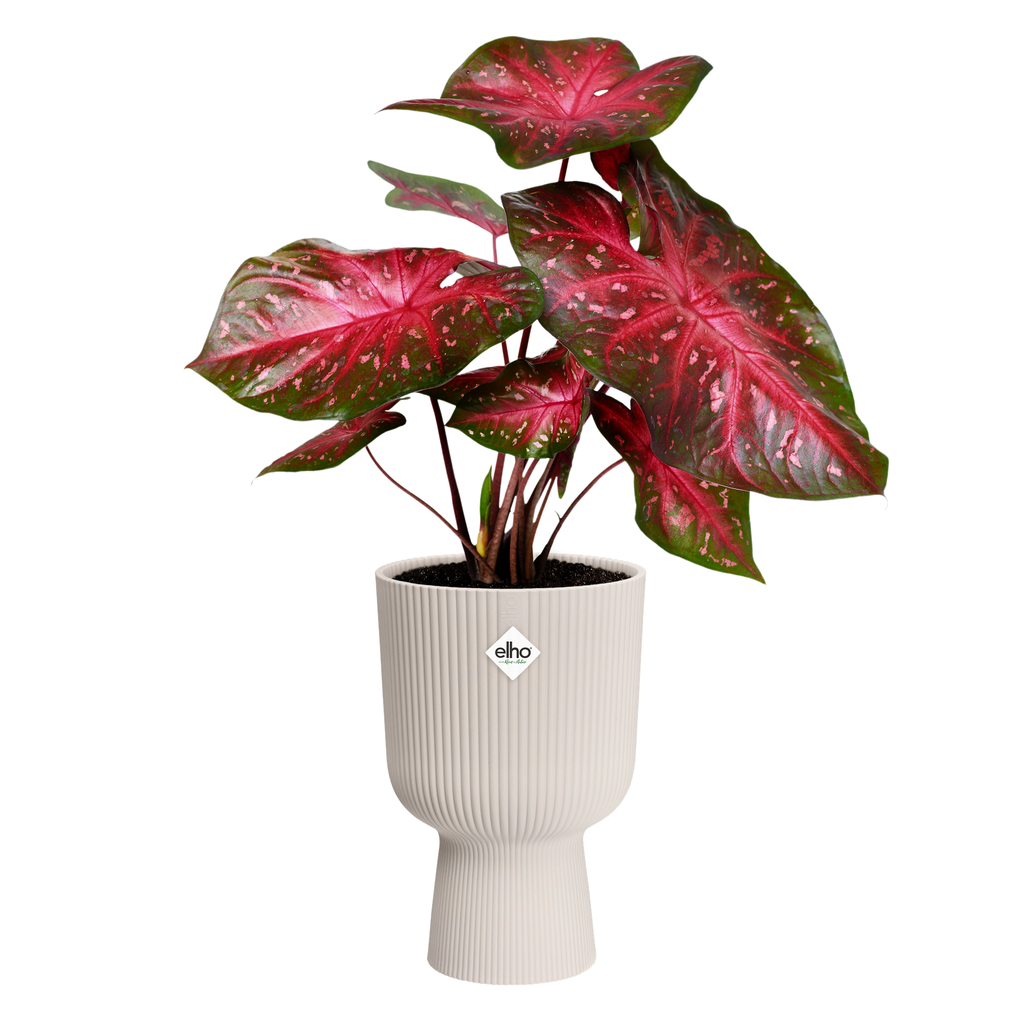 elho vibes fold rond 30 cm - Nederland elho vibes fold rond 30 cm - Nederland