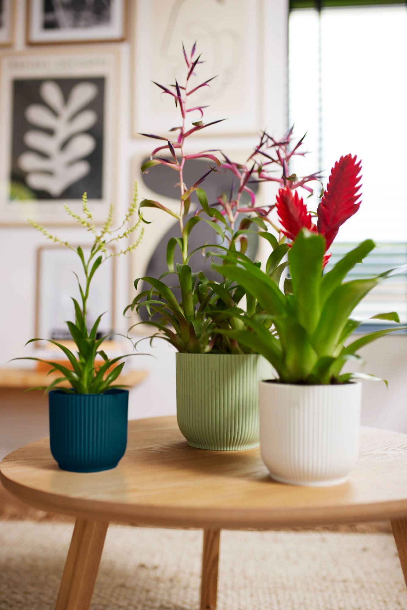 Vaso da fiori in ceramica rotonda smaltata, viola e oro, altezza 12 cm, diametro 11 cm, stile vintage scandinavo