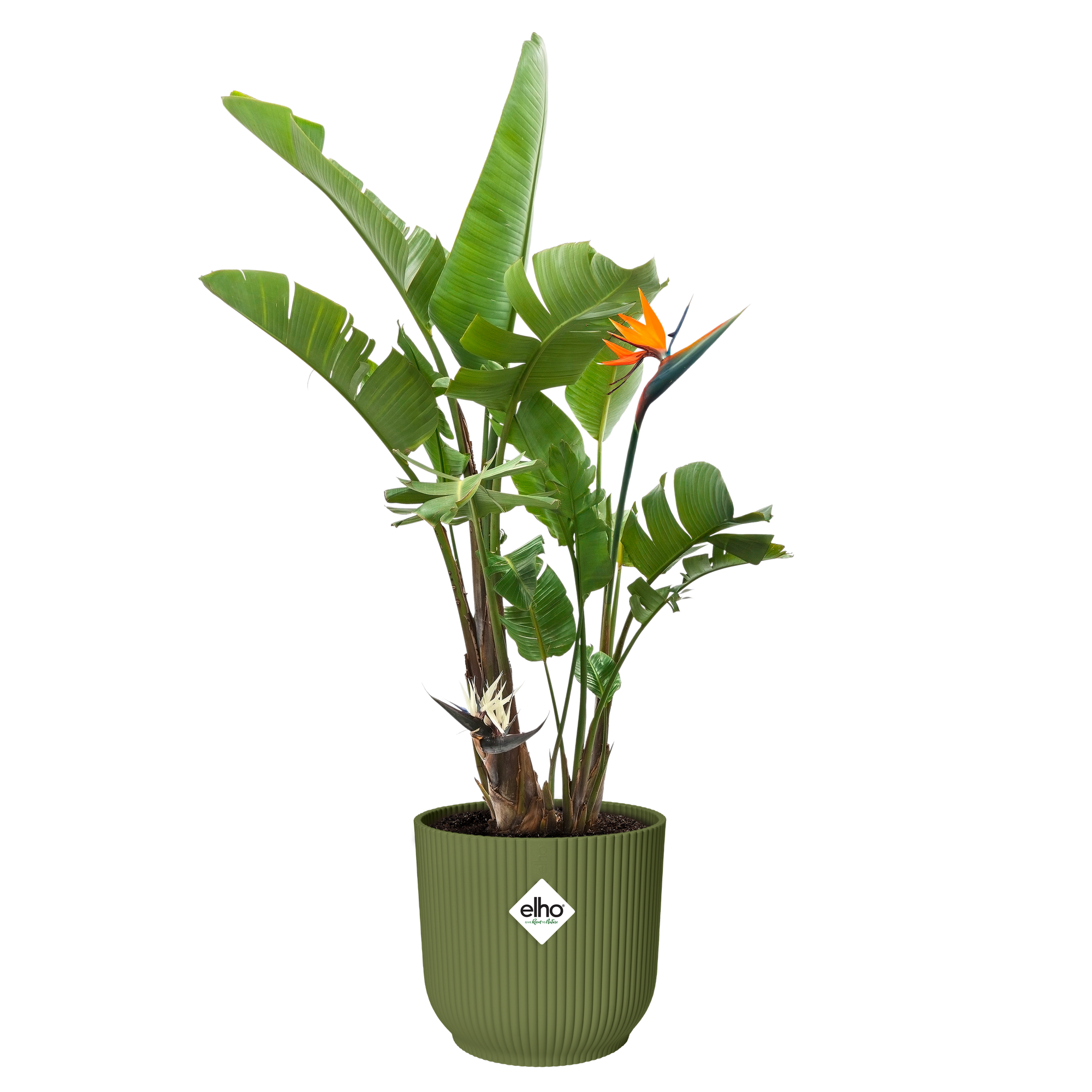 vibes fold rund 30cm ferngrün - elho®