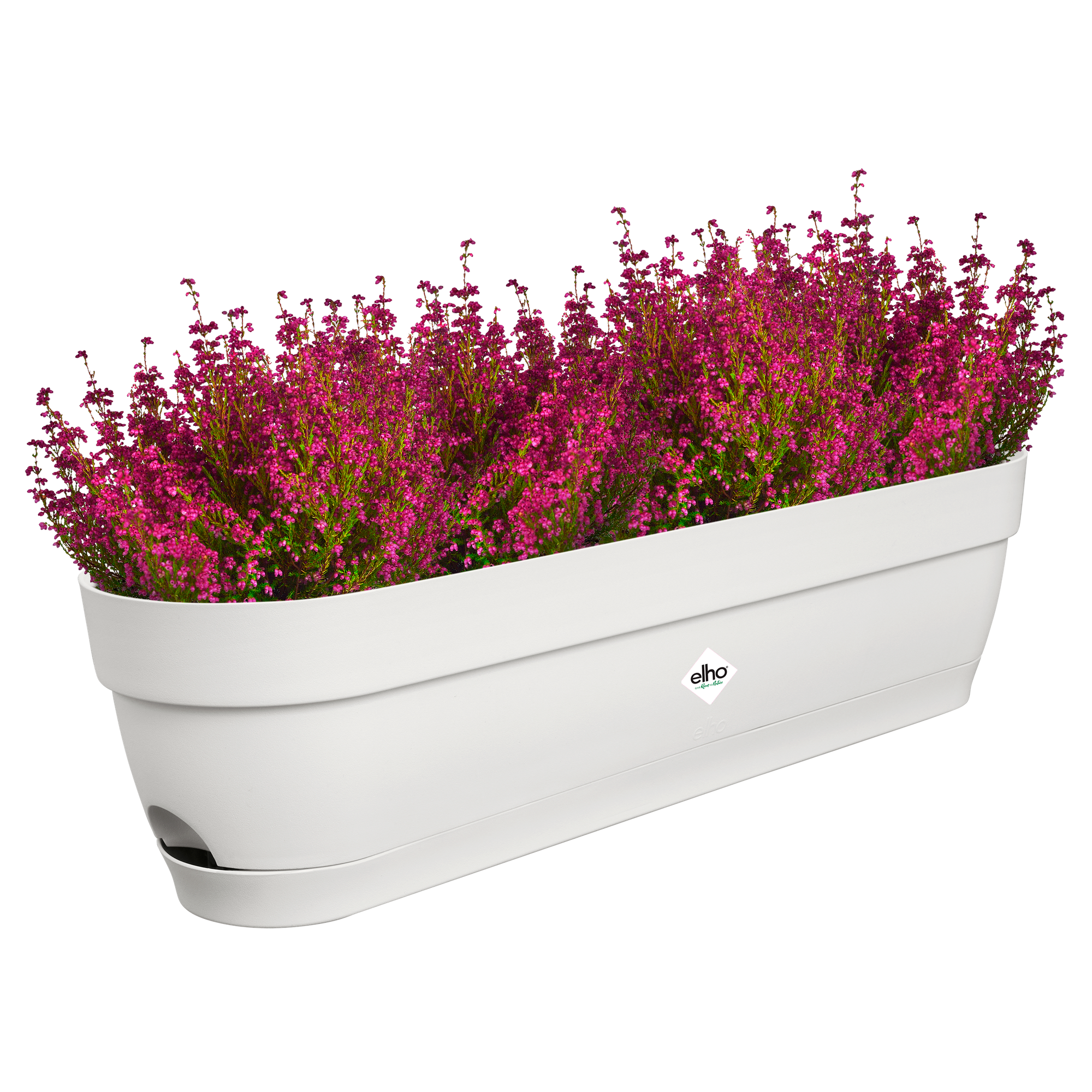 blumenkasten zusammenstellen Blumenkasten Colorful – Industriestil
