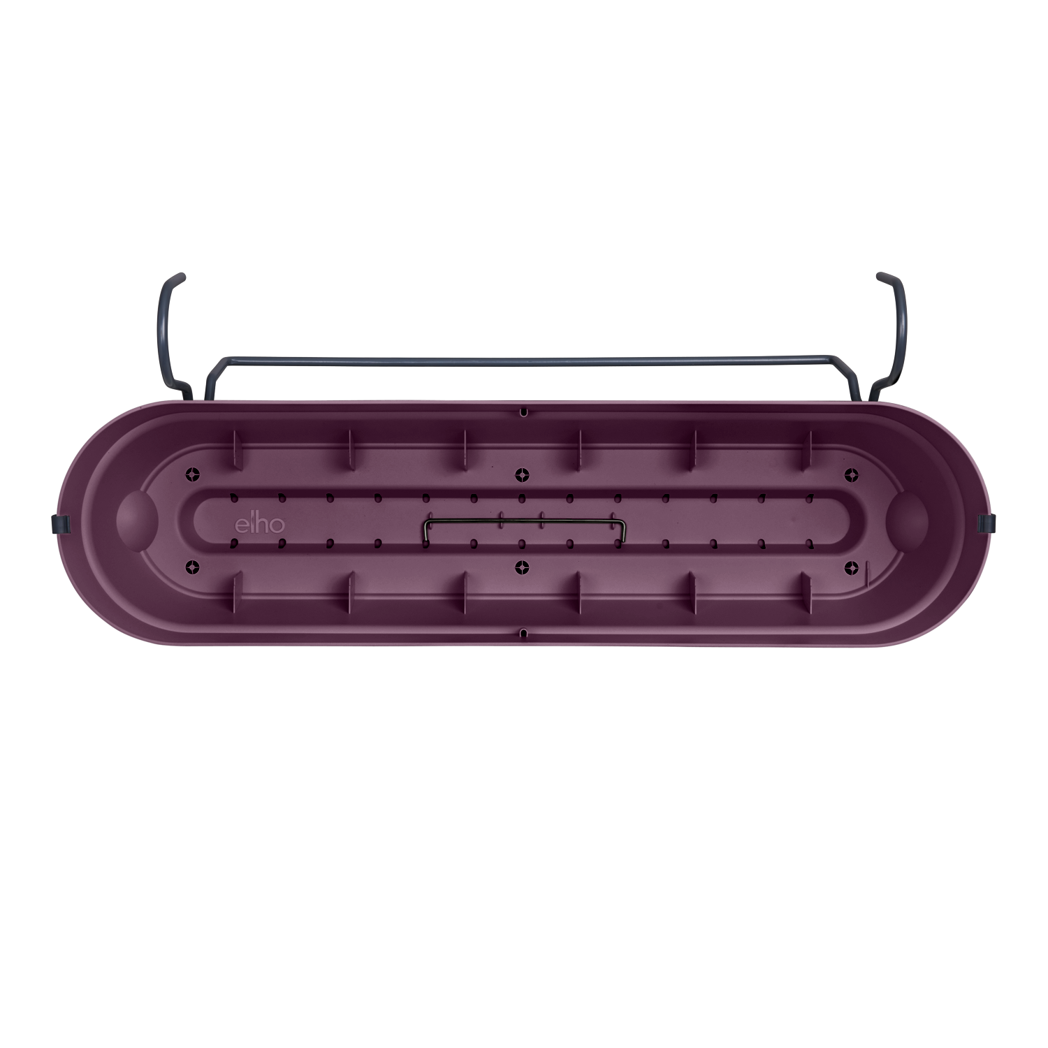 kakteen im blumenkasten Mini Kakteen Set 10 Pflanzen 1015 cm  Kaktus Zimmerpflanzen im Topf   pflegeleicht & dekorativ