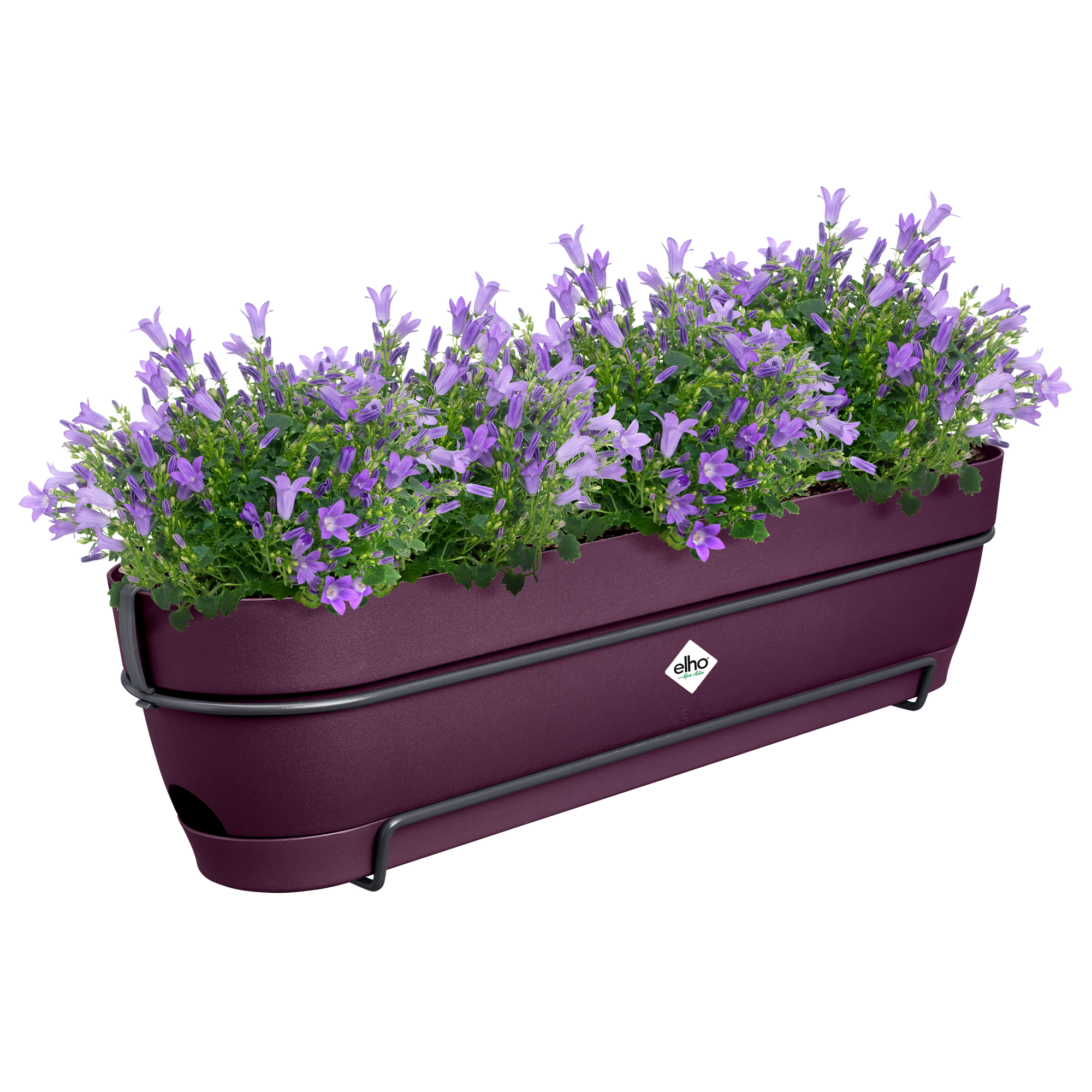 deko weihnachten blumenkasten Weihnachtsgesteck Teelicht Kugel Stern Wichtel creme  Myfleur