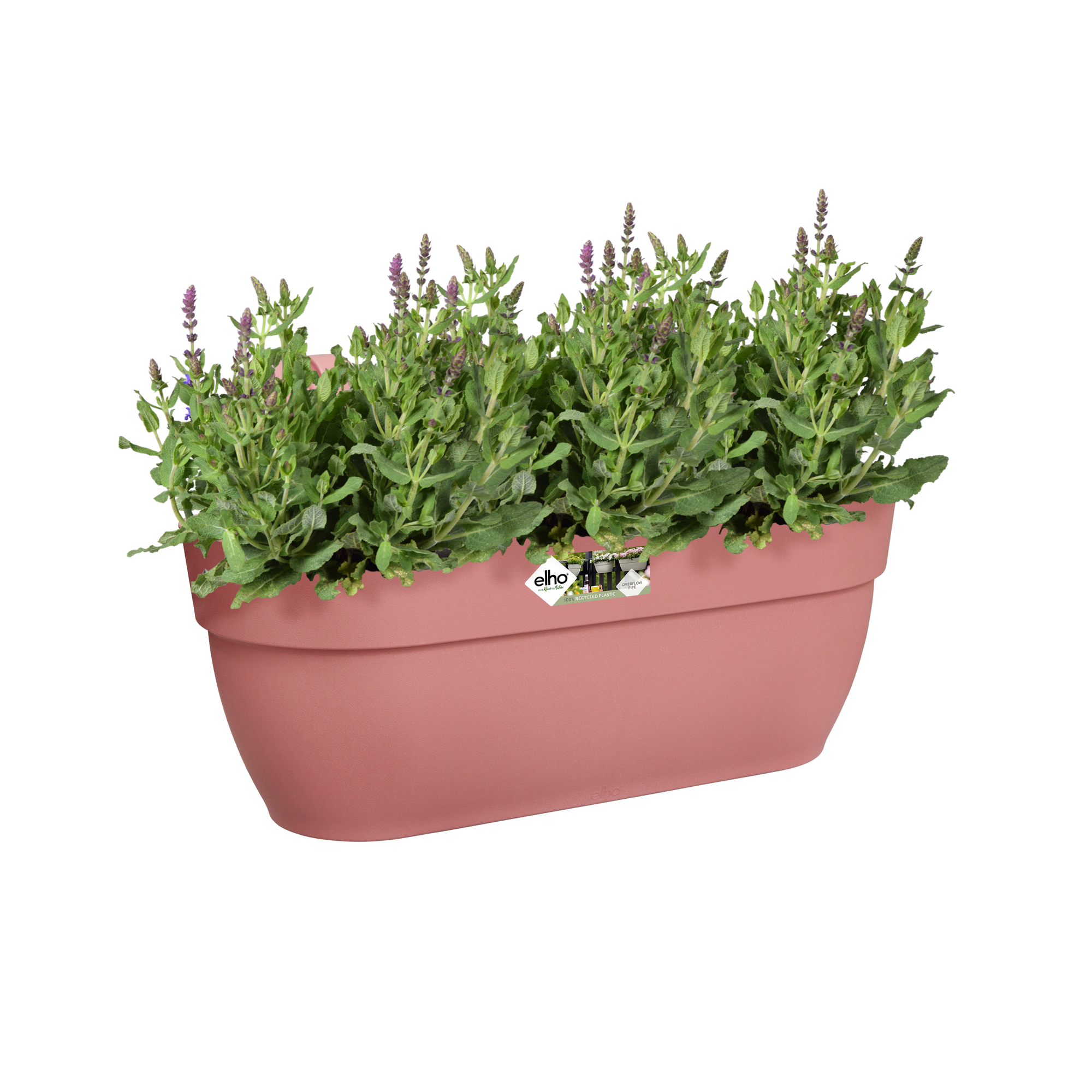 Kuscheltierhalter Mit 8 Clips - Hängende Aufbewahrung Für Plüschtiere