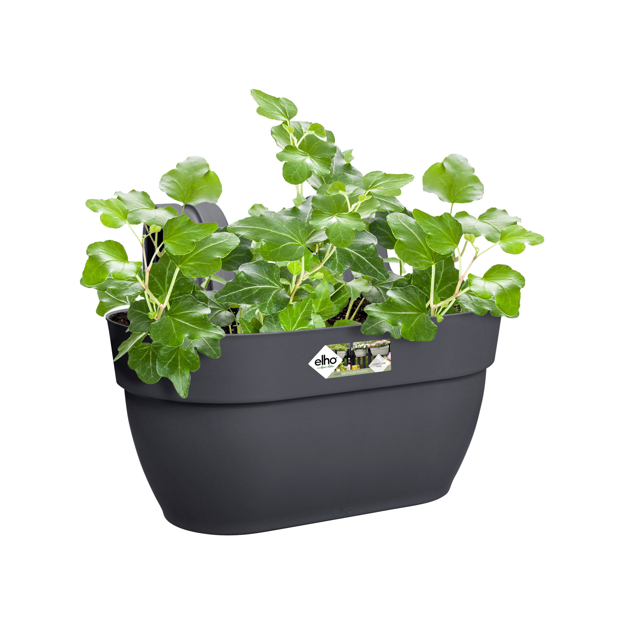 Fioriera Da Balcone Elho Vibia 20.5x26.5 Cm | Plastica Riciclata Nero/Anthracite