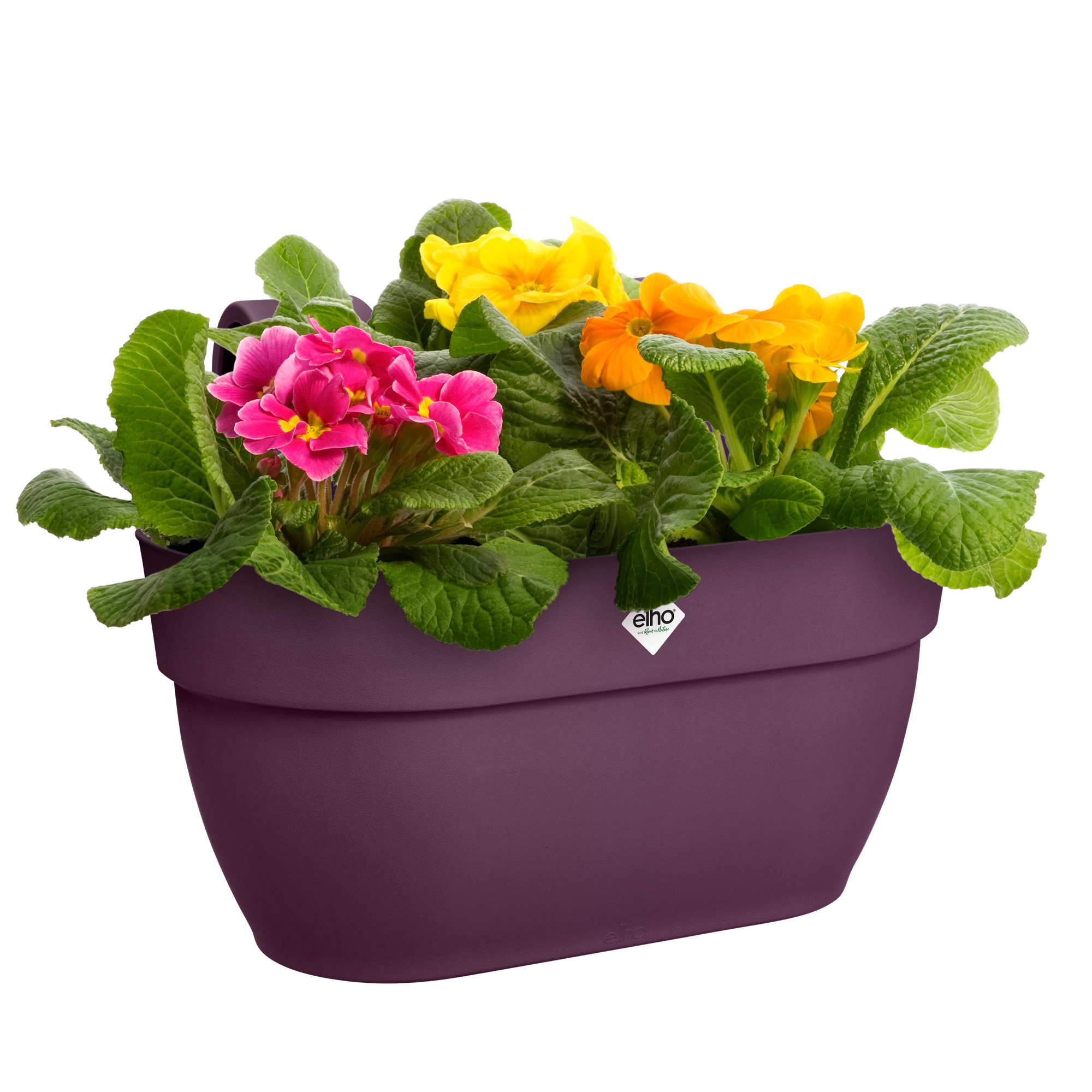 YY VERTICAL CLIMBING MUG EVO PURPLE - Outdoor servies