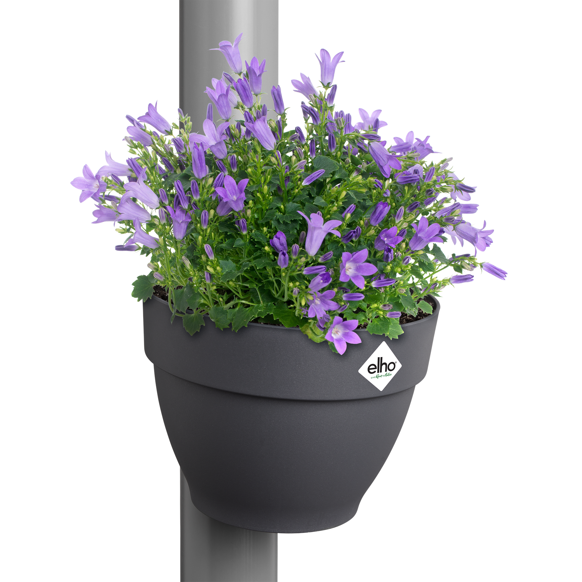 vibia campana fallrohrpflanzgefäss 22cm anthrazit - elho®