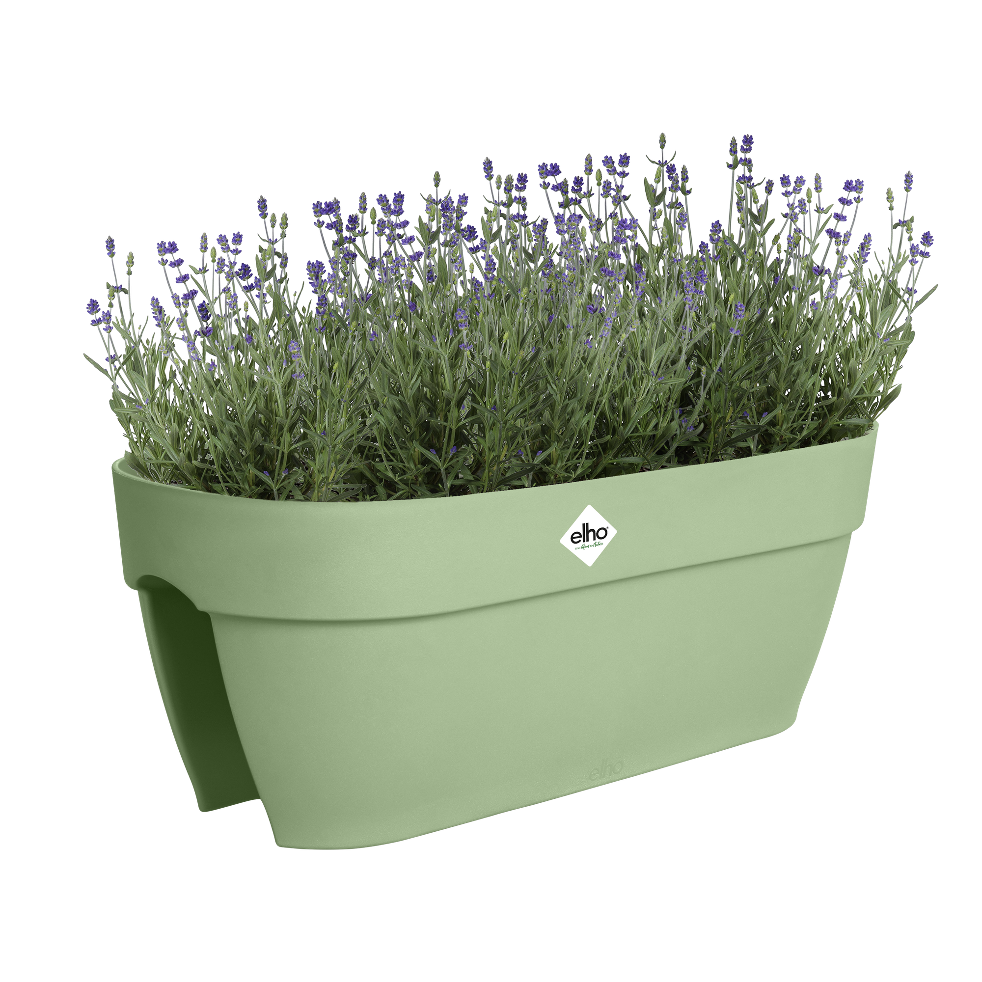 vibia campana flower bridge 60cm pistazien grün - elho® - Give room to ...