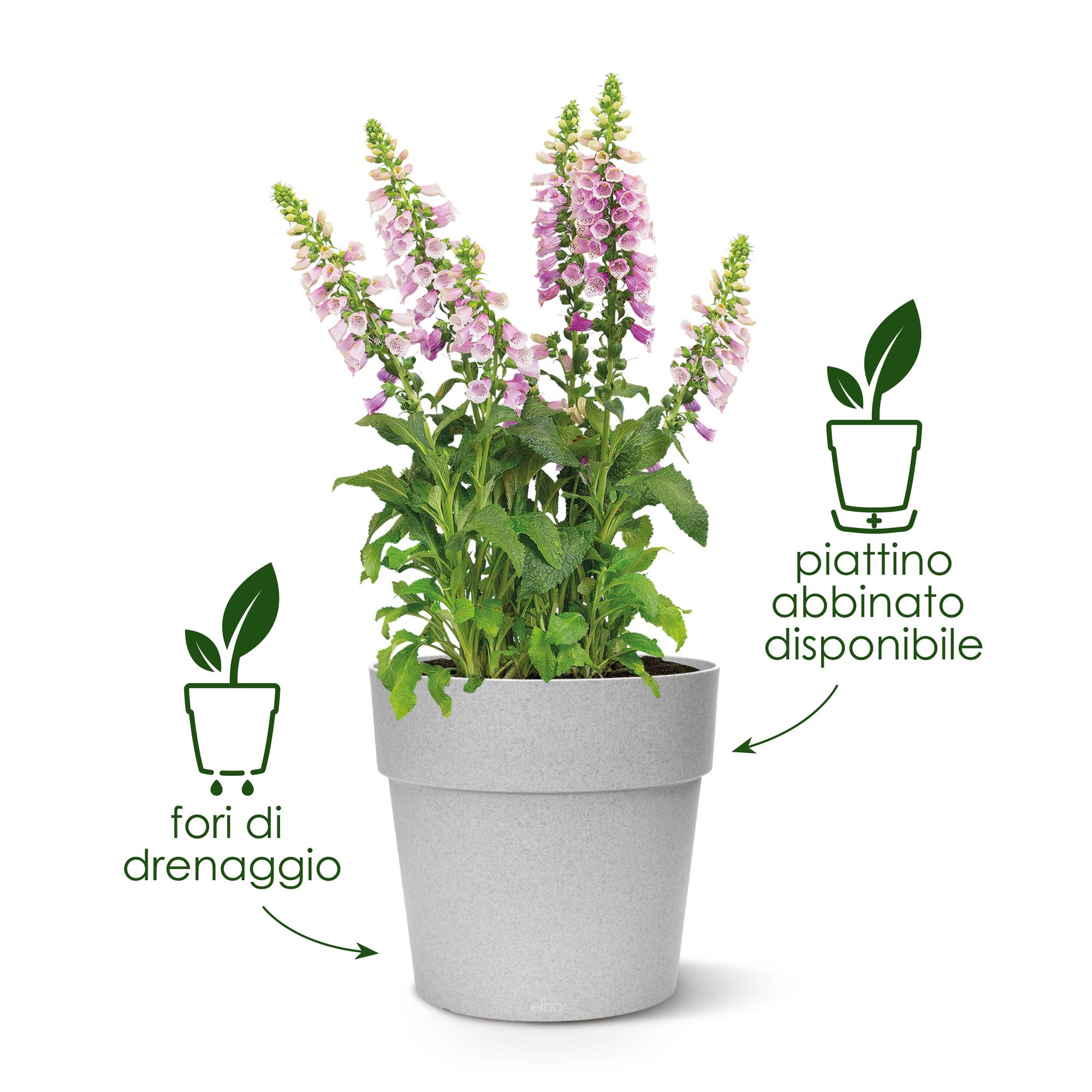 Vaso VIBIA STRAIGHT ROUND – Elho | Design elegante e moderno per piante