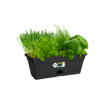 Elho kit du débutant pour pot de culture Green basics rond noir - Pot pour  l'extérieur acheter