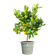 algarve cilindro 35cm thyme green