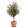 algarve cilindro 58cm terra