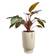 amber grail high 47cm linen white