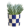 blocks & stripes 15cm royal blue