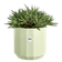 facet rond 35cm tea green