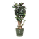 greenville round 47cm leaf green