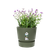 greenville round 16cm leaf green