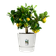 greenville rund 30cm weiss
