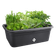 green basics grow garden l living black