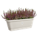 noa balcony trough m warm grey