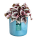 the ocean collection round 14cm atlantisch blauw