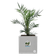 vivo next square 40cm living concrete