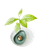 amazing avocado floater leaf green